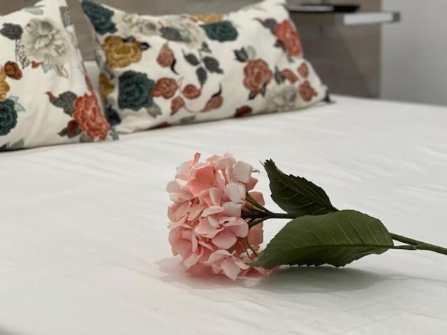 Hostal Rias Bajas Madrid Luaran gambar